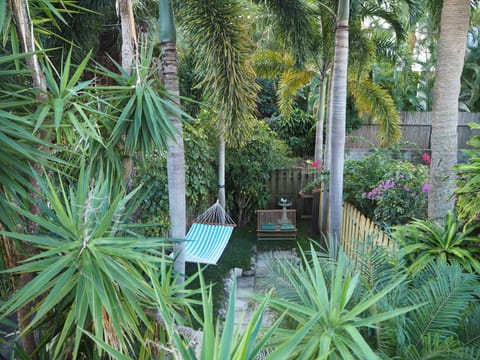 Sub-Tropical Greenery Everywhere