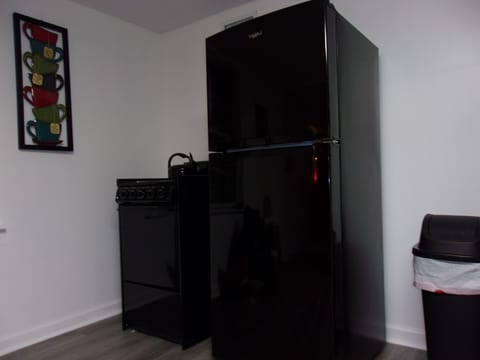 Electric stove and a refrigerator that has an ice maker.