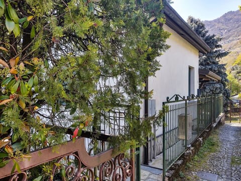 Plant, Building, Daytime, Property, Window, Tree, House, Wood, Biome, Fence