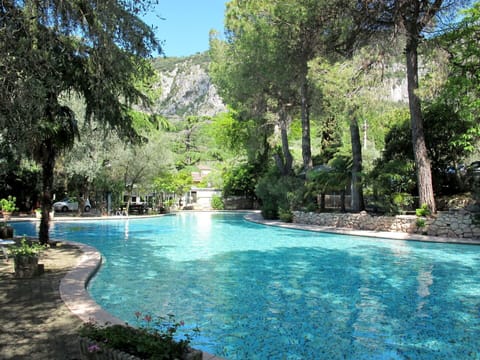 Water, Plant, Tree, Natural Landscape, Sky, Swimming Pool, Leisure, Landscape, Arecales, Grass