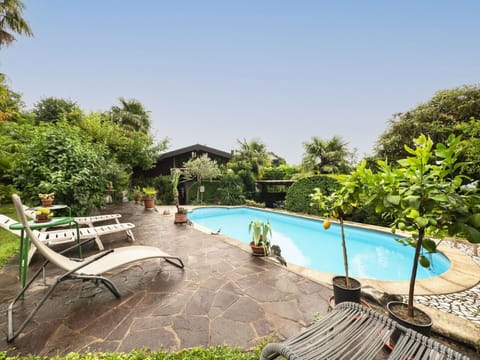 Water, Plant, Sky, Swimming Pool, Building, Tree, Shade, Outdoor Furniture, Leisure, Arecales