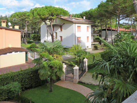Plant, Building, Cloud, Property, Window, Sky, Green, Tree, House, Vegetation