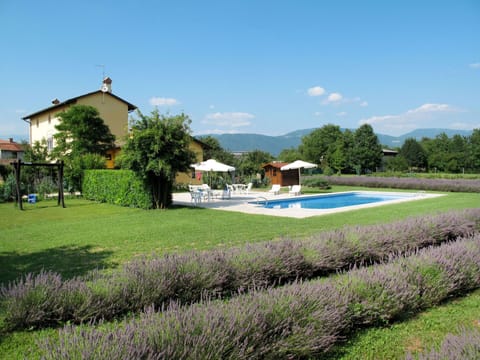 Plant, Shrub, Garden, Land Lot, Lavender, Groundcover, Lawn, Landscaping, Yard, Botanical Garden