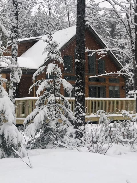 Snowy day in the Maine wilderness!
