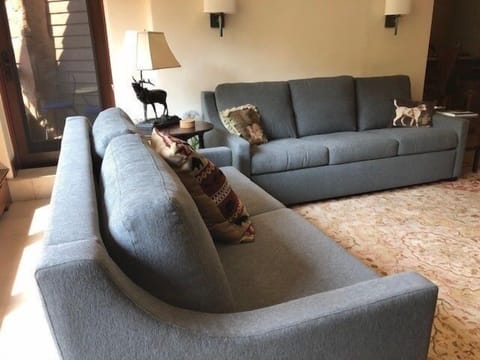 Furniture, Couch, Living Room, Room, Indoors