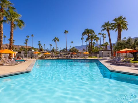 Welcome to MOD at Ocotillo Lodge