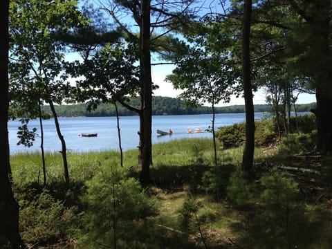view from deck between houses