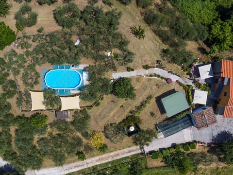 Property, Plant, Ecoregion, Land Lot, Urban Design, Tree, Slope, Map, Landscape, Residential Area