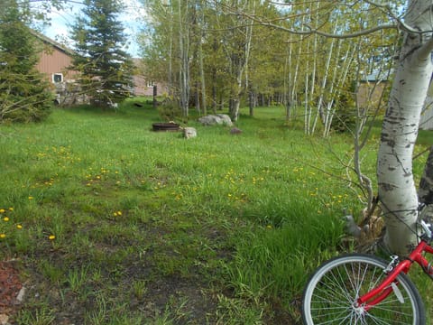 Backyard with firepit