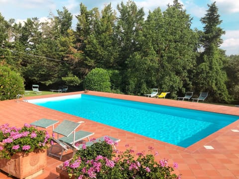 Water, Plant, Flower, Cloud, Sky, Swimming Pool, Tree, Botany, Shade, Rectangle