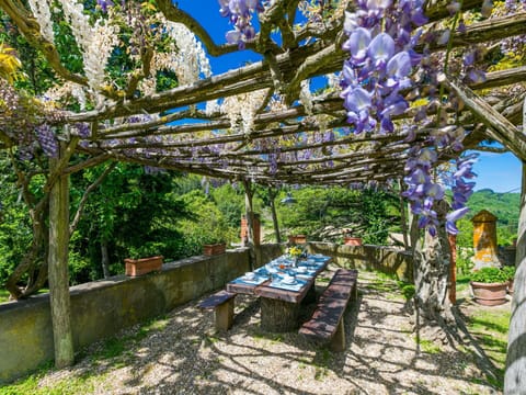 Garden, Spring, Shade, Botanical Garden, Flowerpot