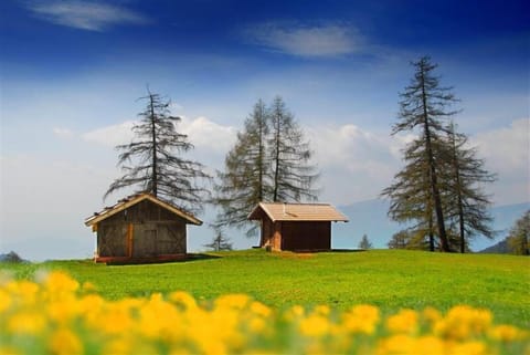 typical Barns on the high-plateau Salten