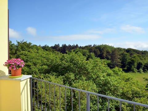 Vegetation, Property, Tree, Sky, Botany, Real Estate, Leaf, Shrub, Garden, Plant