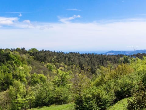 Cloud, Sky, Plant, Natural Landscape, Highland, Tree, Terrain, Cumulus, Grass, Evergreen