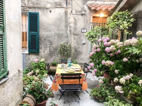 Property, Courtyard, Backyard, Garden, Yard, House, Flower, Plant, Patio, Building