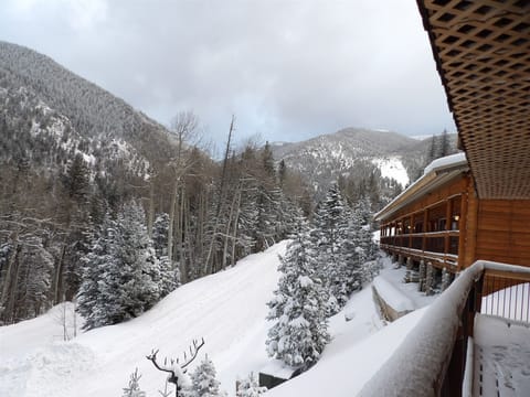 Mountain view from the condo porch