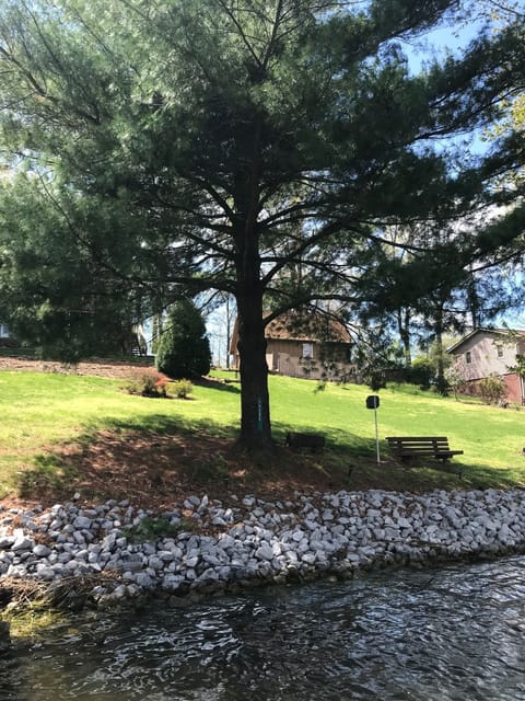 Lake-side bench with a view & yard for games