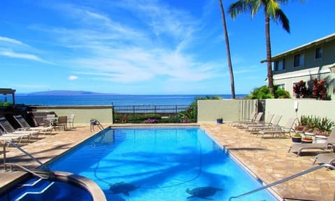 Private pool and hot tub for guests. This area has video surveillance cameras.