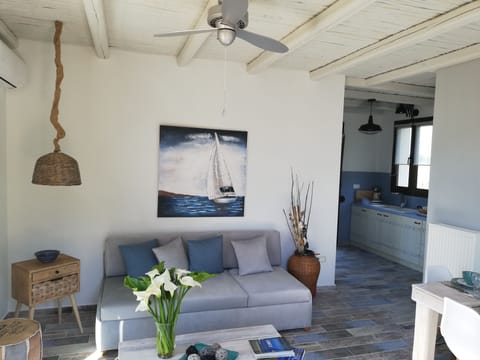 Living room and kitchen
