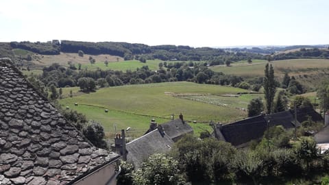Studio 2 people at the gates of Cézallier Apartment in Auvergne-Rhône-Alpes
