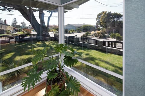 Views from the living room