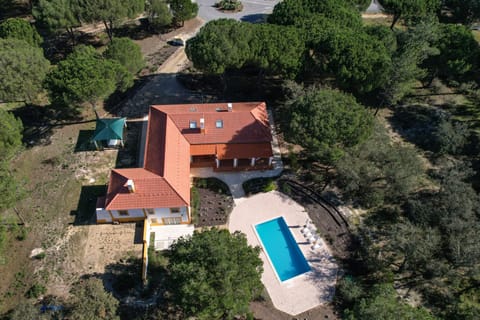 Bird´s eye view