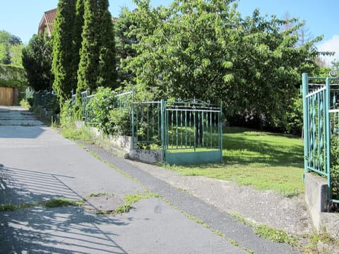 Plant, Sky, Shade, Road Surface, Vegetation, Land Lot, Tree, Asphalt, Urban Design, Grass