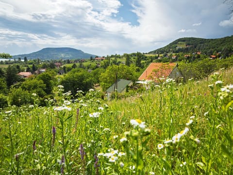 Green, Mountainous Landforms, Nature, Vegetation, Hill, Natural Landscape, Grassland, Summer, Cloud, Landscape