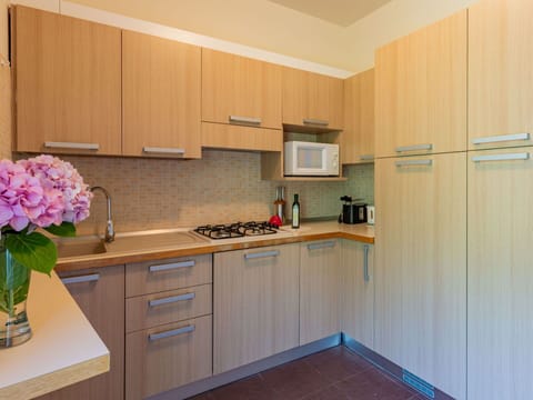 Cabinetry, Countertop, Flower, Building, Kitchen Appliance, Kitchen Stove, Interior Design, Kitchen Sink, Kitchen, Wood