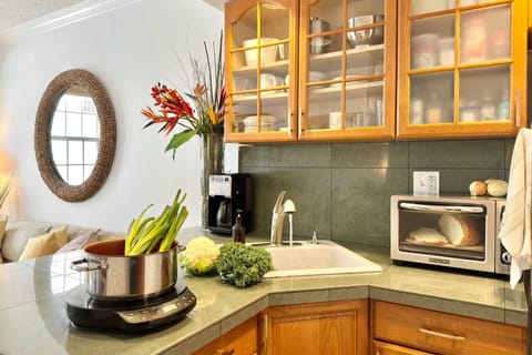 [EQUIPPED KITCHEN] Plugin STOVETOP, toaster OVEN, fridge, microwave, coffeemaker