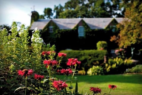 The Mansion & Rockery Gardens