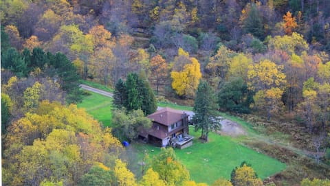 View of house and yard from the air