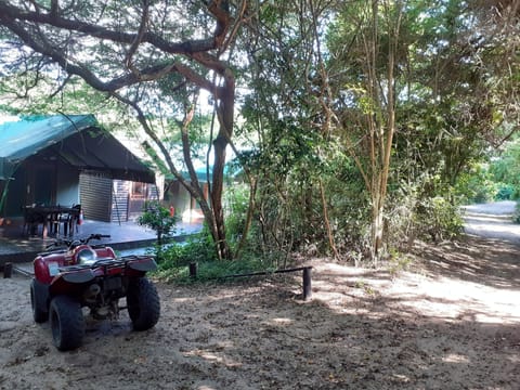 Property grounds