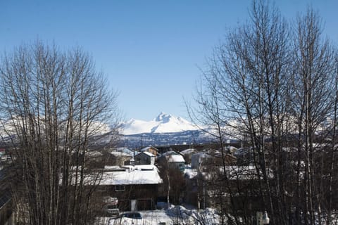 Mountain View’s 
