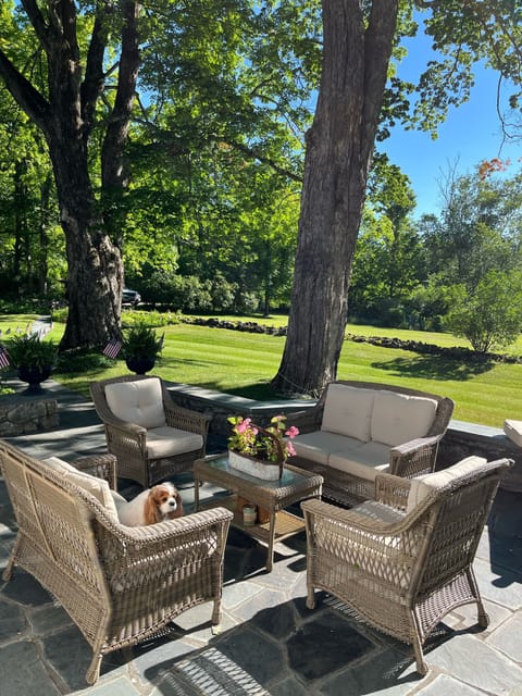 Expansive patio for drinking your morning coffee