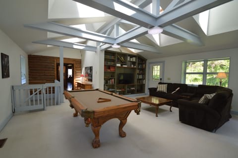 Pool table and gathering area.