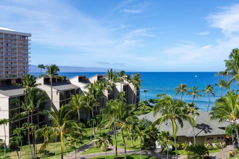 The property sits amid swaying palms with direct ocean access, offering serene coastal surroundings and views of blue horizons stretching across the Pacific.