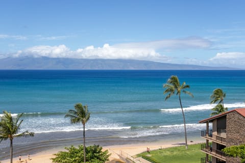 Oceanfront property located on a sandy beach with gentle waves and palm trees framing the shore. Mountains rise across the water under a clear, tropical sky.