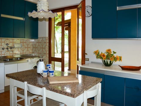 Table, Furniture, Property, Cabinetry, Countertop, Azure, Flower, Sink, Building, Chair