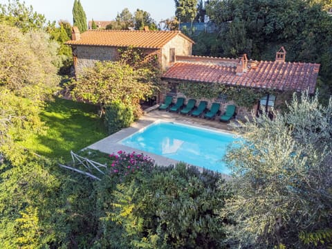 Plant, Water, Swimming Pool, Window, Building, Botany, Tree, Natural Landscape, Rectangle, Grass