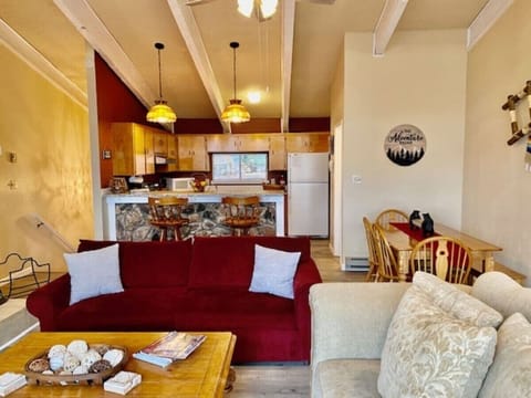 Upstairs Living Area and Kitchen