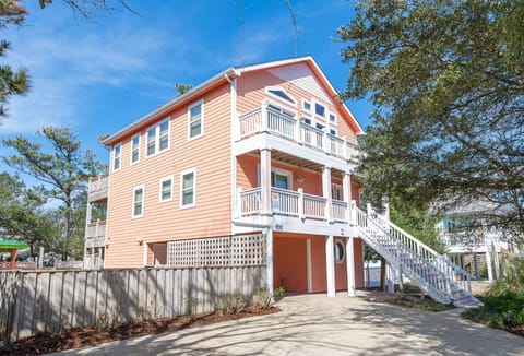 Ace's Delight Too - K1125