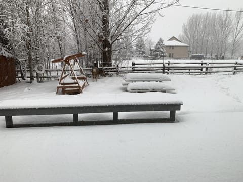 Peaceful winter back yard