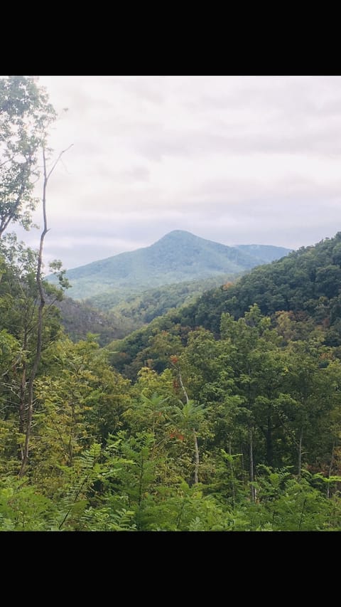 Mountain views from the cabin.