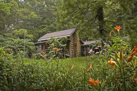 Secluded cabin retreat surrounded by lush wildflowers and a peaceful wooded setting.