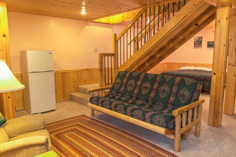 Basement sitting area with extra fridge
