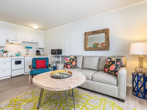 Living Area - Sleeper Sofa