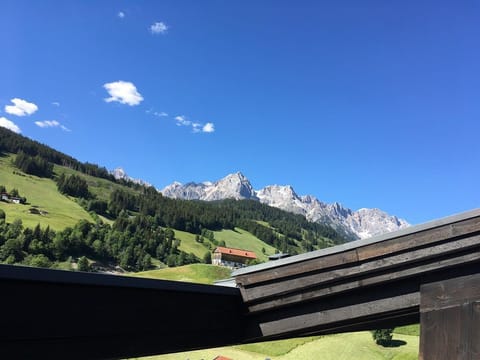 Apartment Selbhorn / 1 bedroom / roof terrace - Haus Anderl Apartment in Salzburgerland