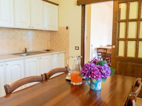 Flower, Furniture, Cabinetry, Plant, Property, Kitchen Sink, Building, Flowerpot, Tap, Sink