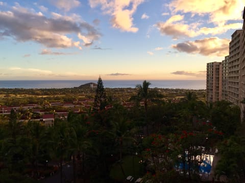 First three photos are our view!